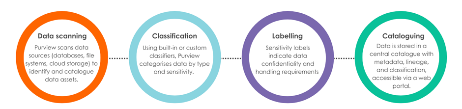 How Microsoft Purview data discovery works